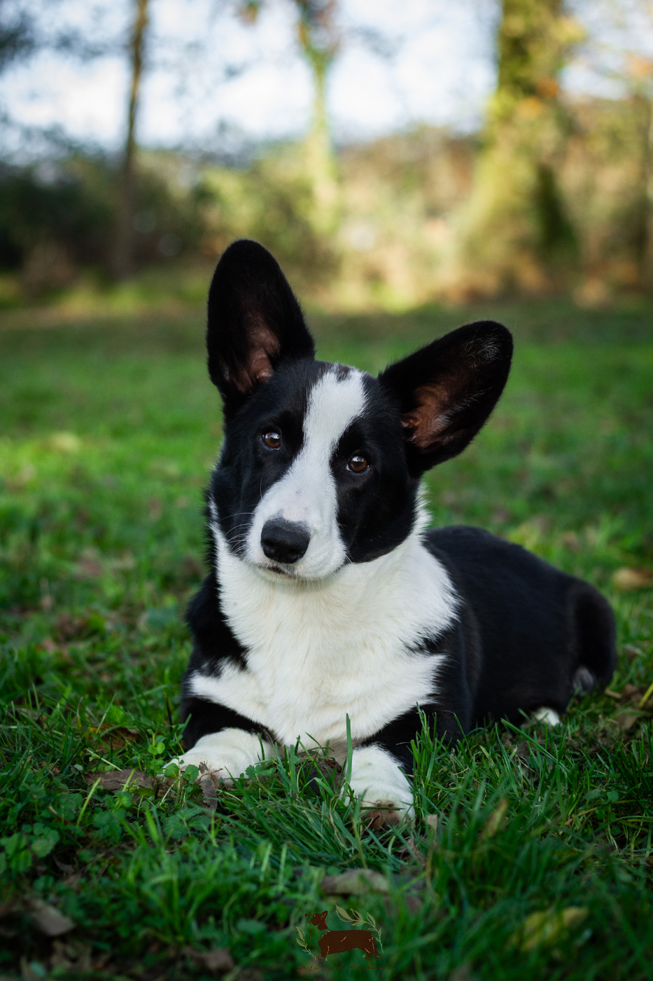 Notre nouvel espoir !