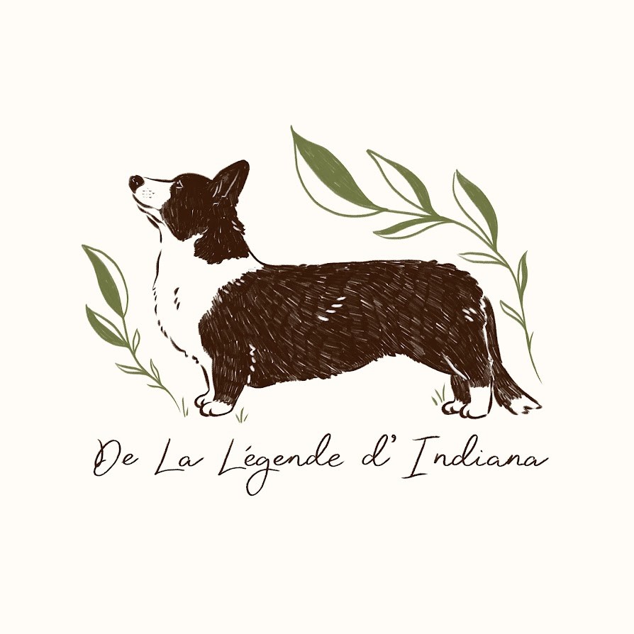 De La Légende D'Indiana